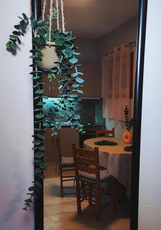 Katávolos Kaminaki Seaview Apartments מראה חיצוני תמונה